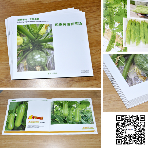 騎馬訂畫(huà)冊(cè)印刷