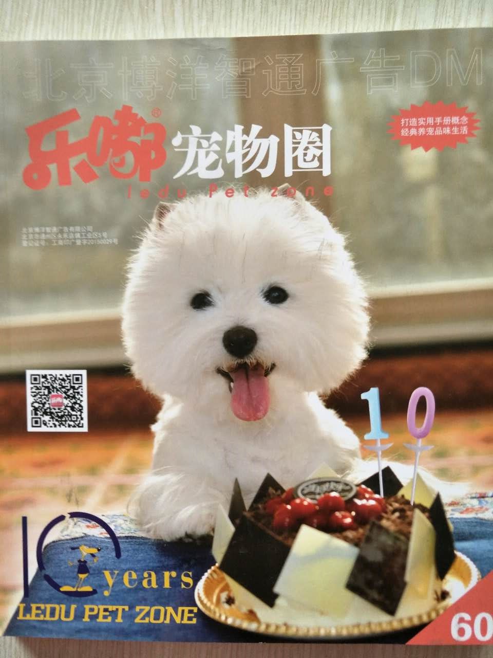 企業(yè)宣傳冊印刷&mdash;&mdash;豪彩佳印做印刷您放心!