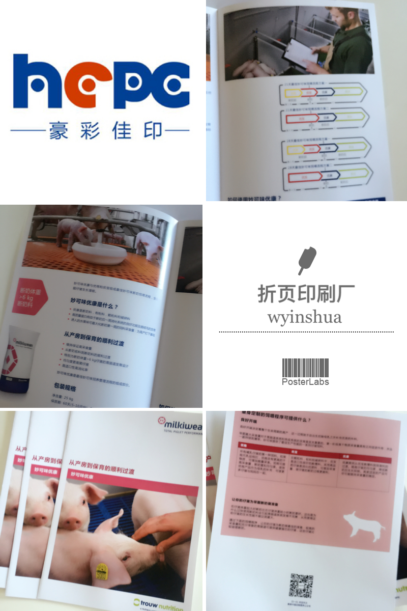 彩頁(yè)印刷廠